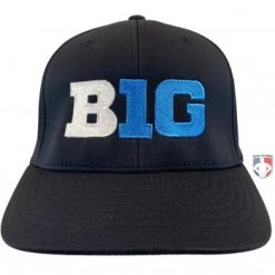 Richardson Groups Big Ten Conference (B1G) Baseball Umpire Cap