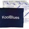 KoolBlues Umpire Chest Protector Cooling System